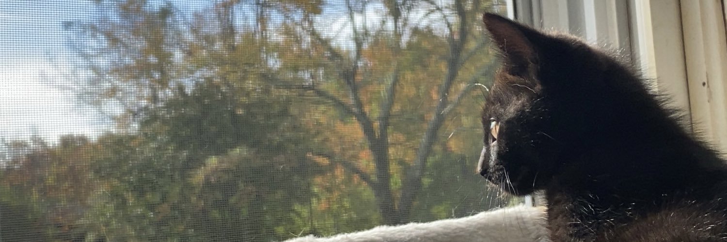 HiArielNichole's profile banner image