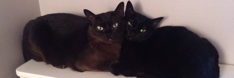 Will_heightley's profile banner image