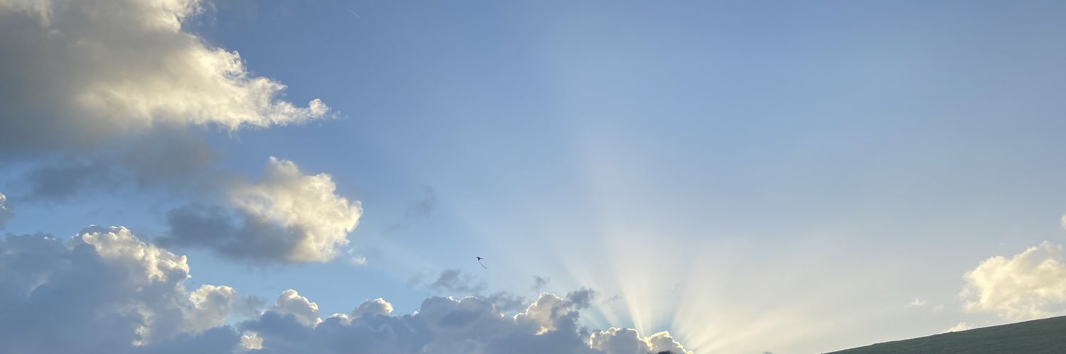 DLS. banner