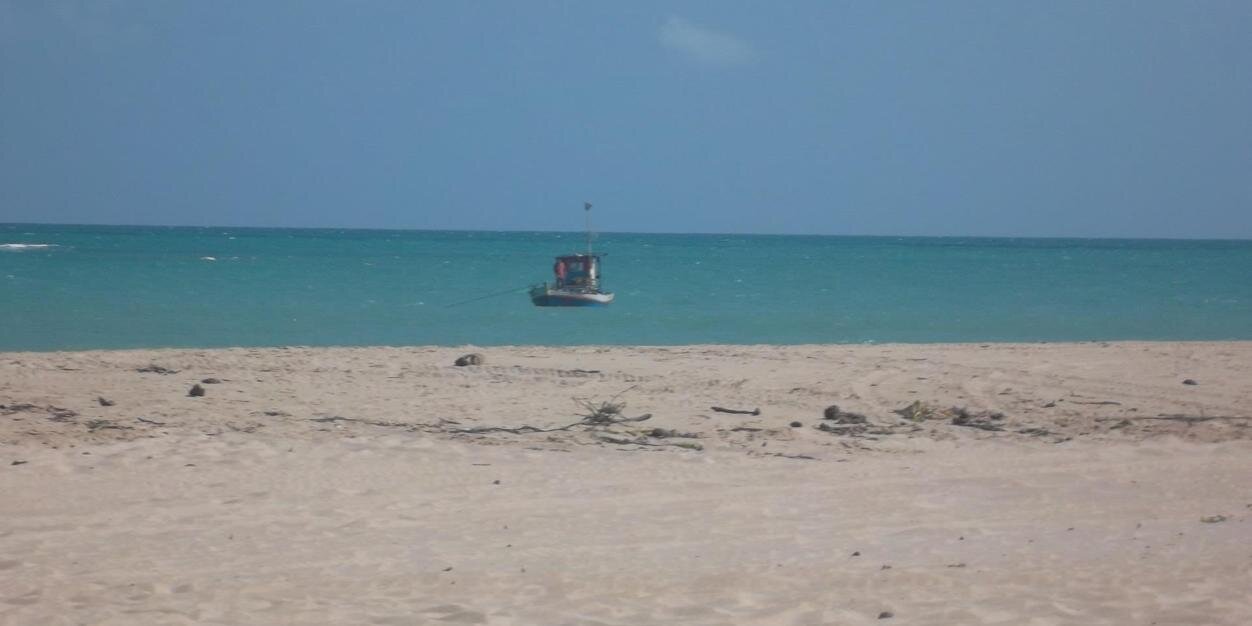 Pedro Leão 🦁 🇹🇹🇹🇹🏴󠁧󠁢󠁷󠁬󠁳󠁿🏴󠁧󠁢󠁷󠁬󠁳󠁿 banner