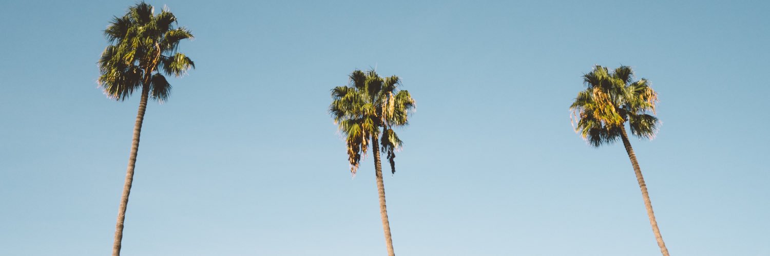 zachpcheatham's profile banner image