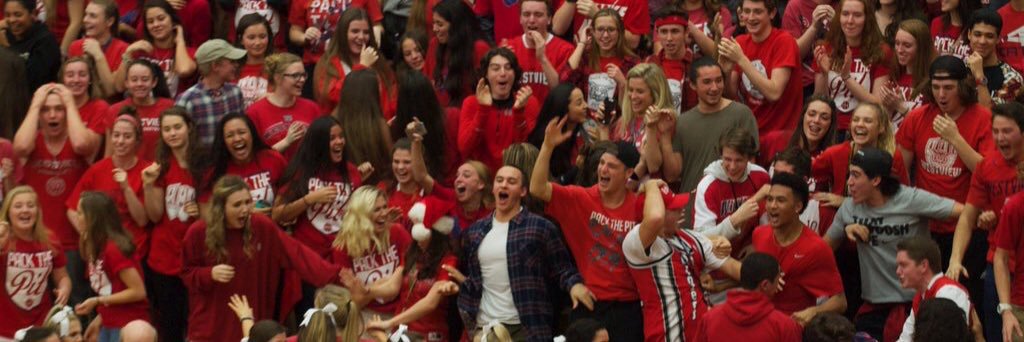Westview Basketball banner