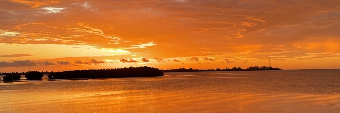 _AustinRoss's profile banner image