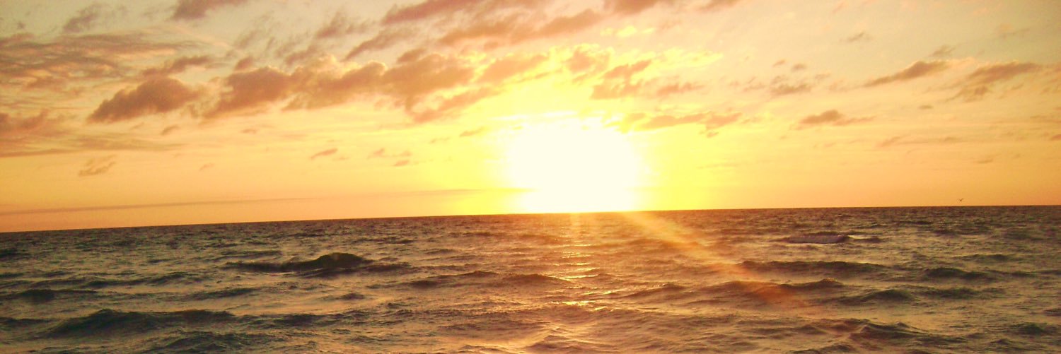 FireMist26's profile banner image