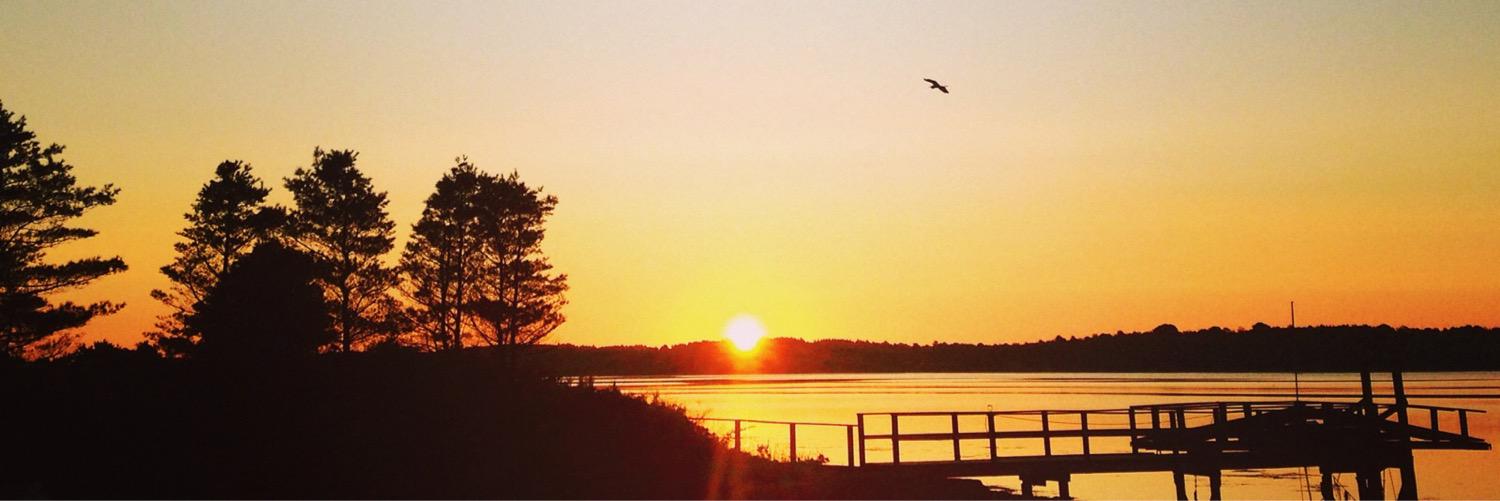 Carolyn Clement banner