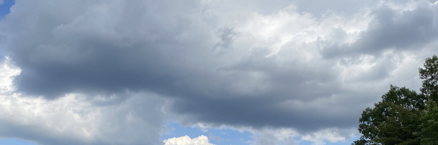verysharri's profile banner image