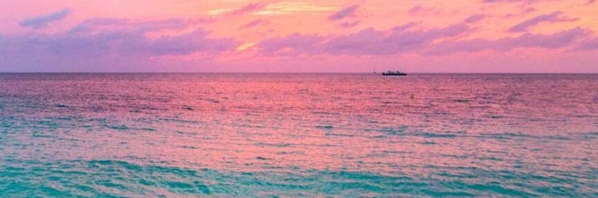 Lucypoo11's profile banner image
