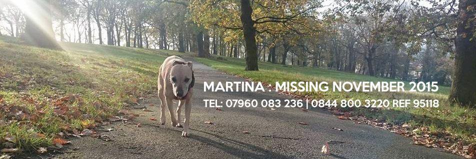 martinalostdog's profile banner image