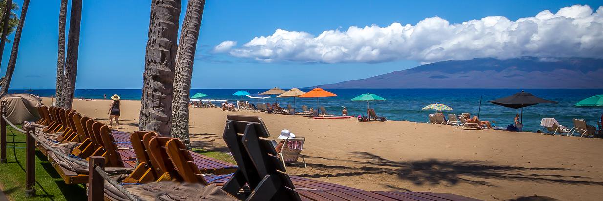 mauibeachfront1's profile banner image