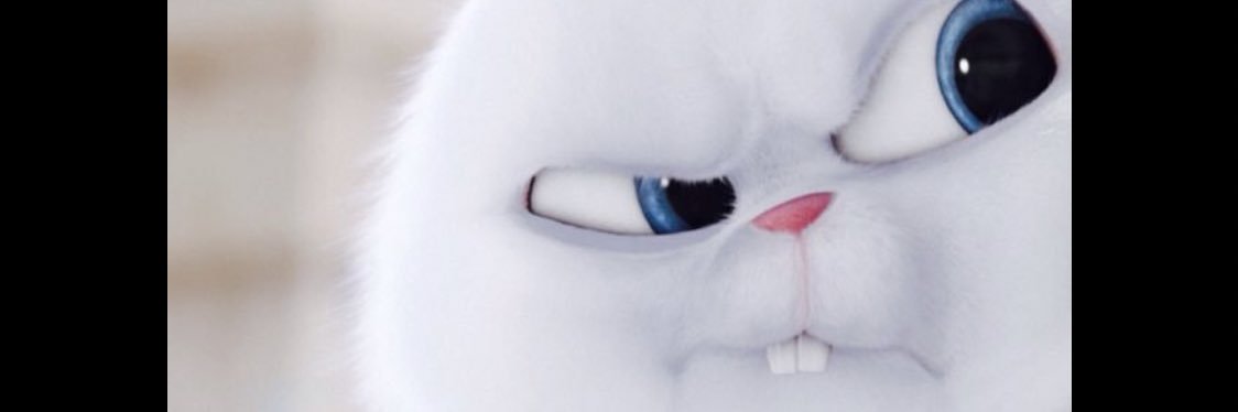 veeveyan_'s profile banner image