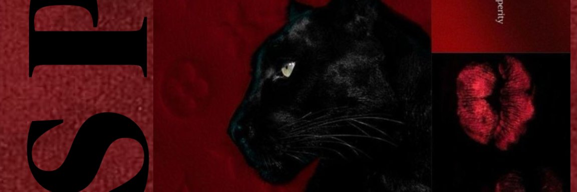 elenaisnotnice's profile banner image