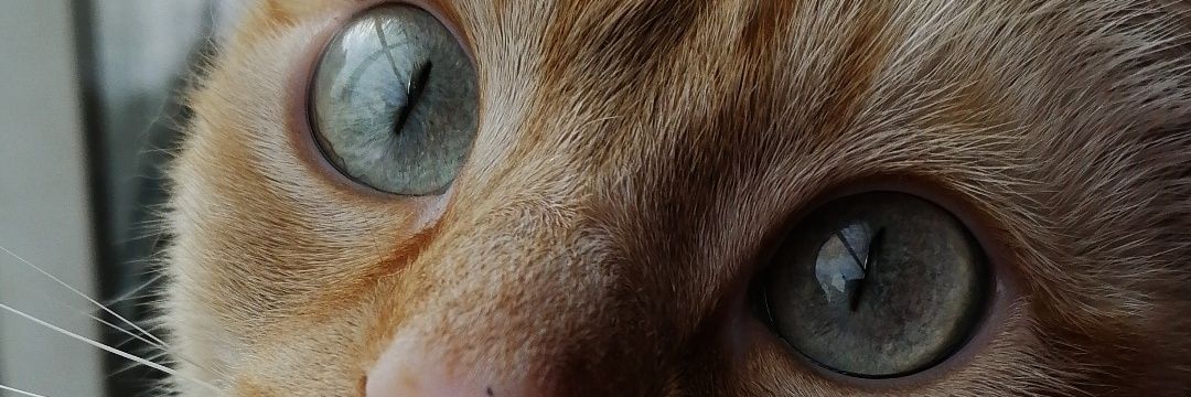 JBravo_9's profile banner image