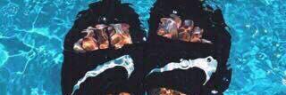 nf_sul's profile banner image