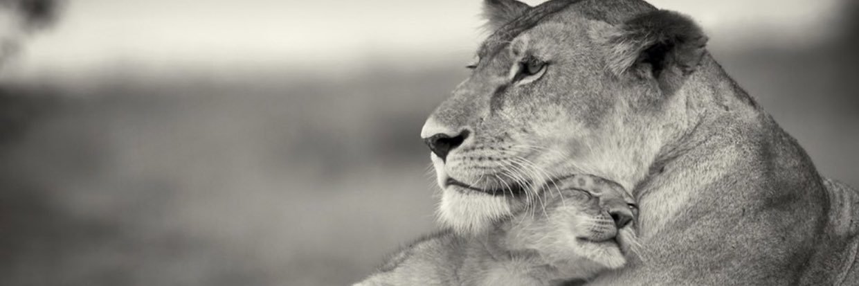 cwlaud's profile banner image