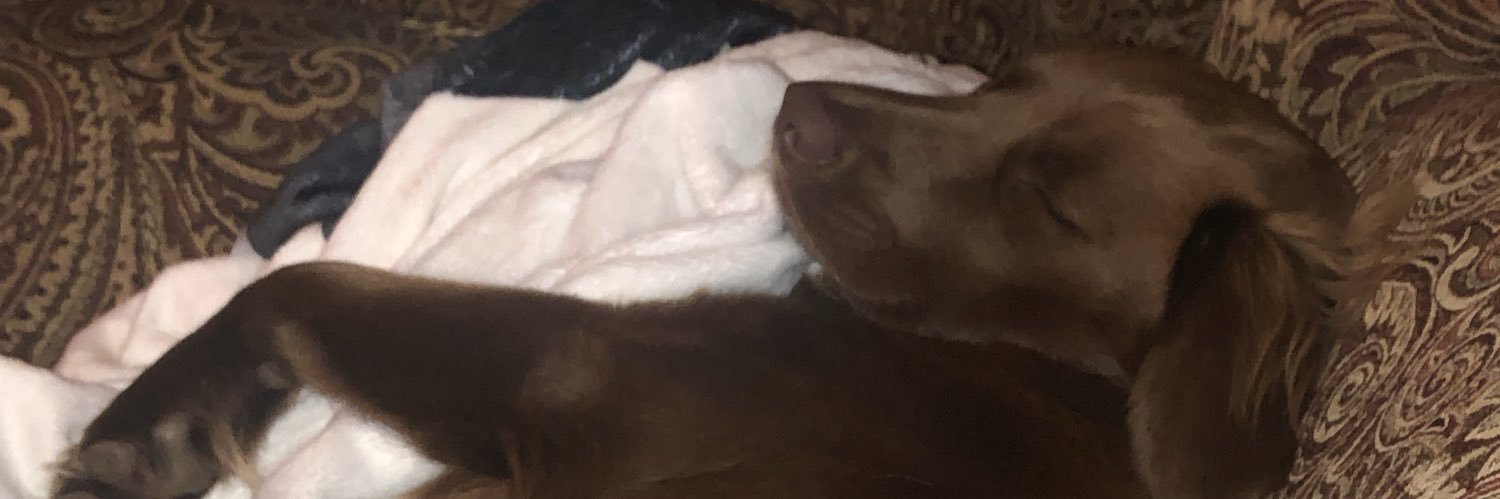 j_d_lo's profile banner image
