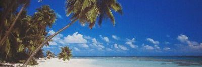 JudithDurham's profile banner image