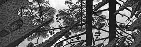 IvoMartorilli's profile banner image