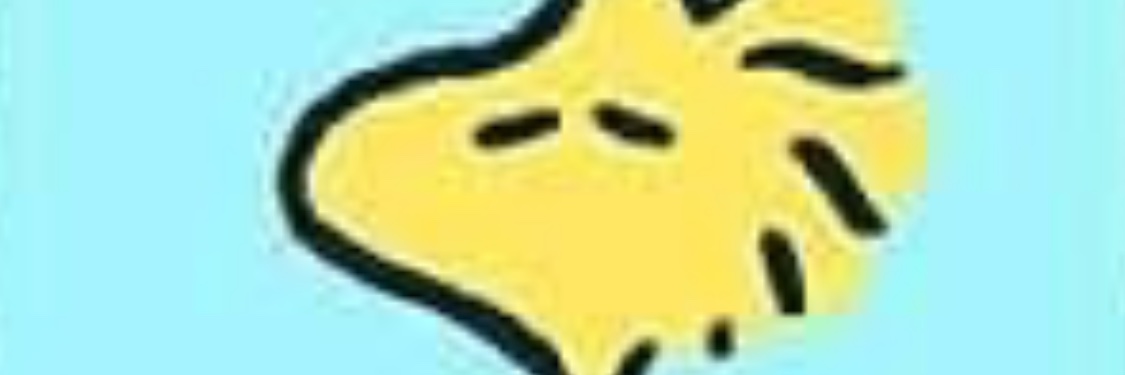 JuliaMintz's profile banner image