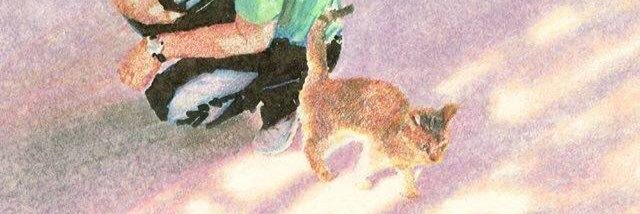 Crazier_well's profile banner image