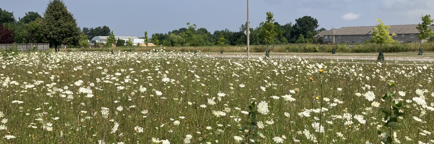 Hugh Cook 🇨🇦 banner