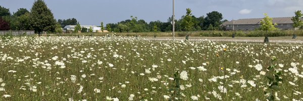 HughCook_ca Profile Banner