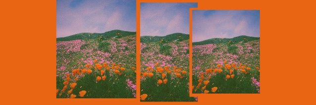 ohaidemons's profile banner image