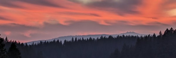 0xDoubleSharp Profile Banner