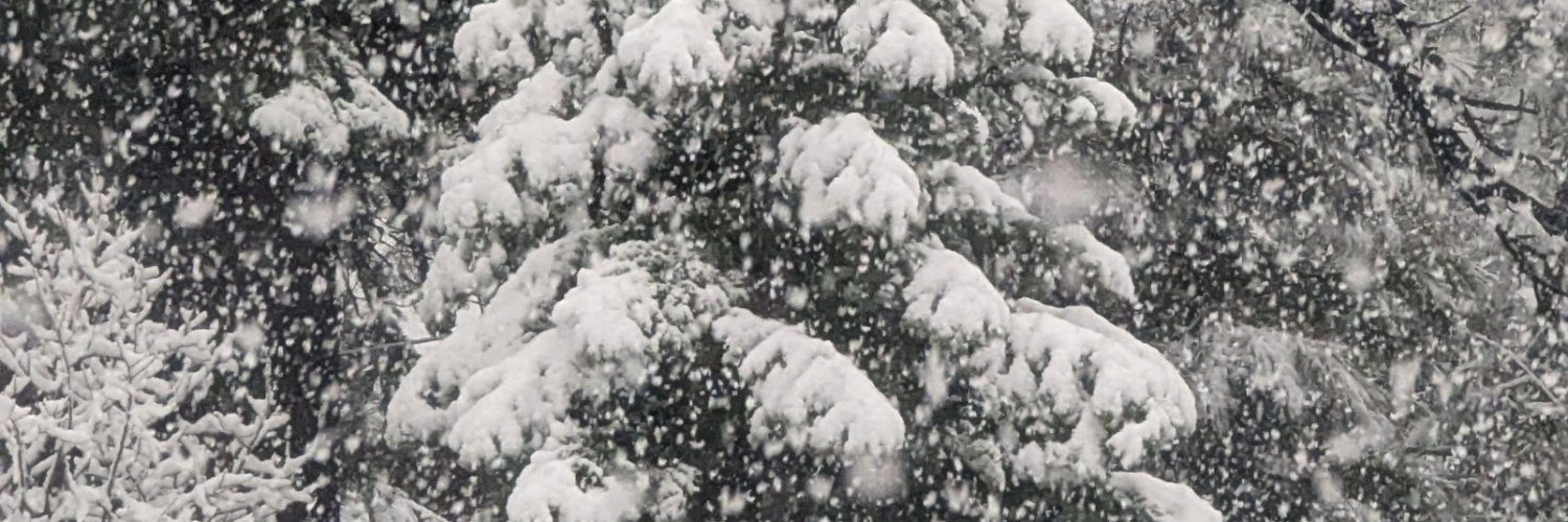 Justin 🦄❄️ DoubleSharp banner