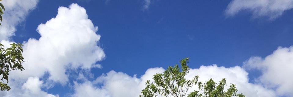 alobritorman's profile banner image