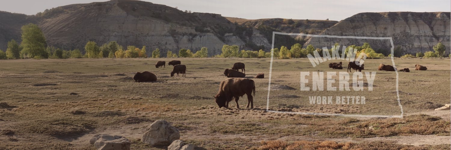 Xcel Energy ND banner