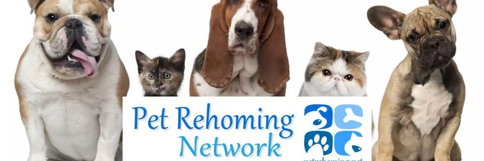 PetRehomingNet's profile banner image
