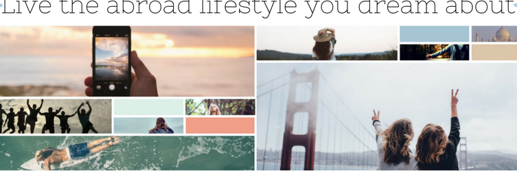 wanderlanders's profile banner image