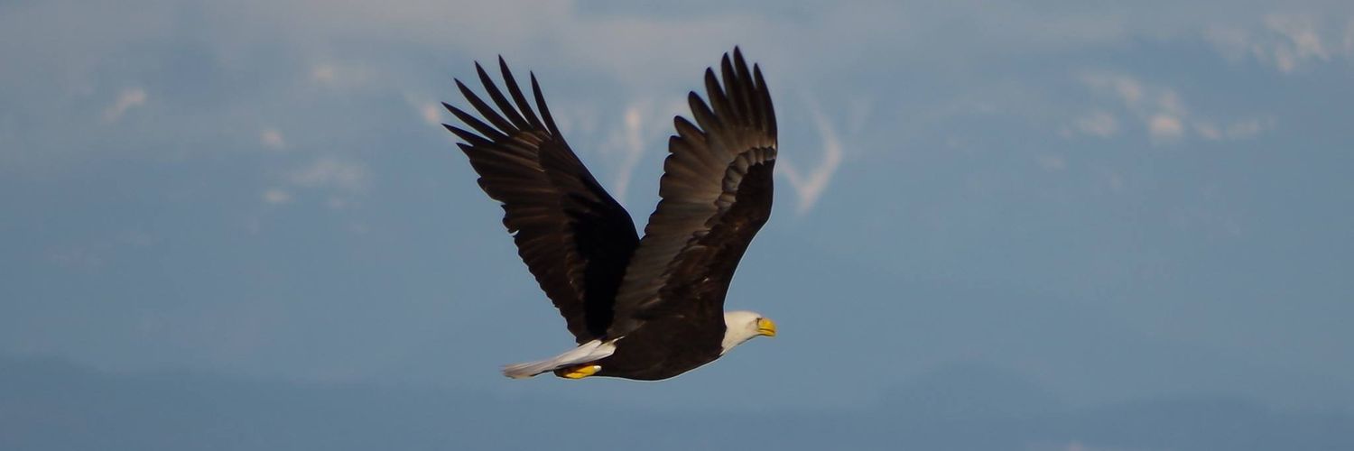 mid_isle_guy's profile banner image