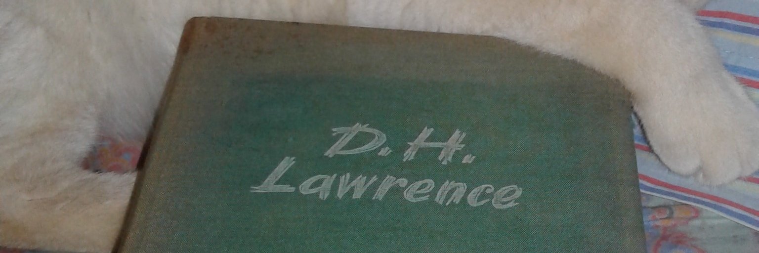 Davide Frigoli banner