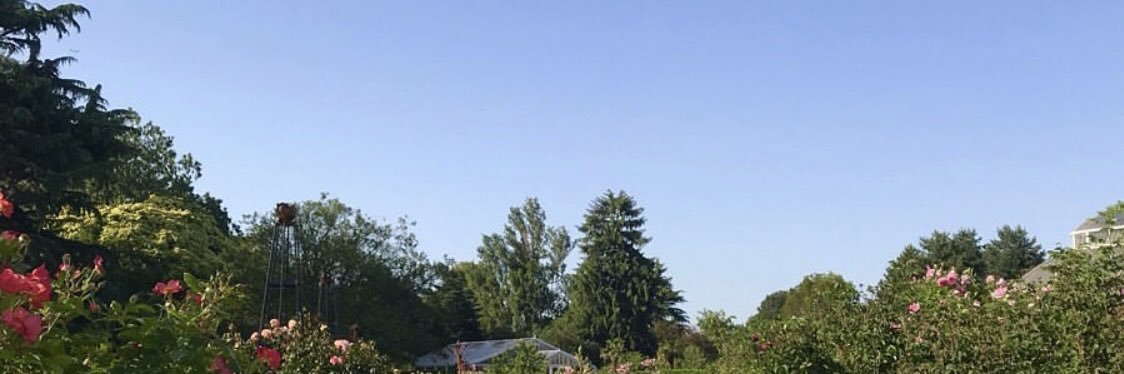 currently....🪤🪤🪤 banner