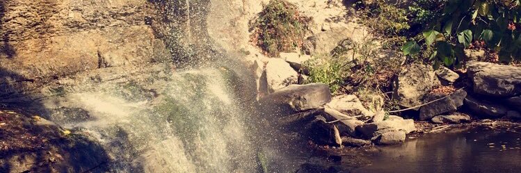 chriistinebrown's profile banner image