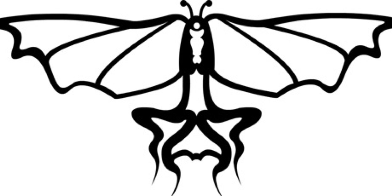 dp banner