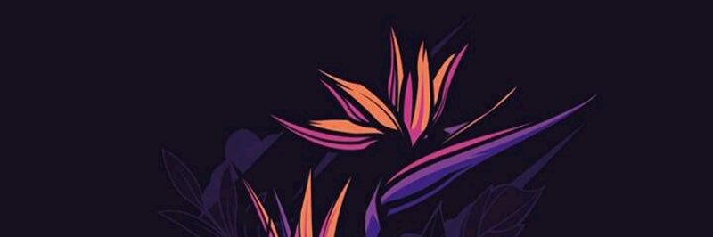 msn7r's profile banner image
