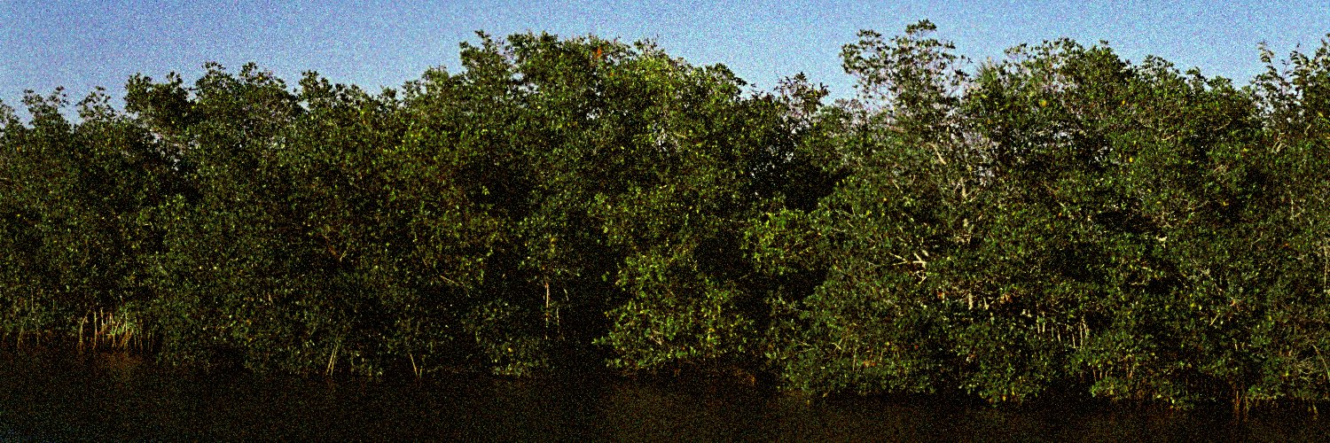 Anthony Inswasty banner