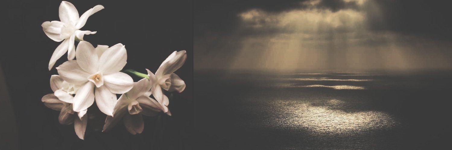 ًً banner