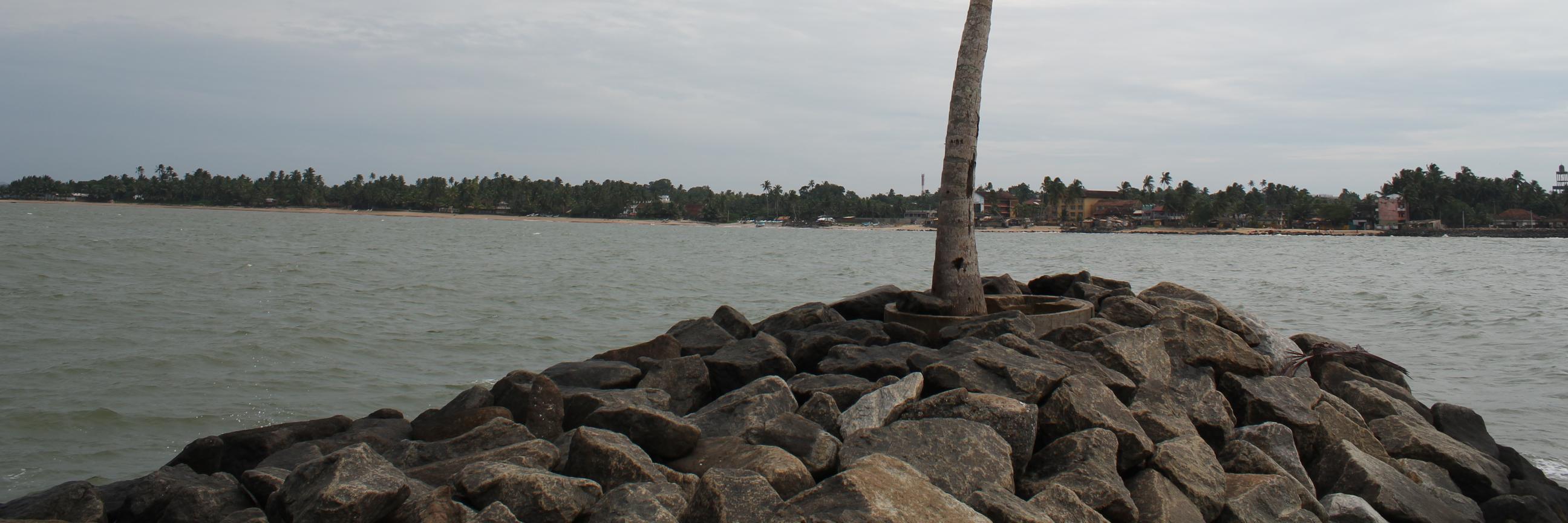 Sumavenkatagiri's profile banner image