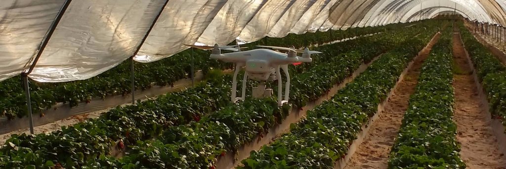 Bo True Activities banner