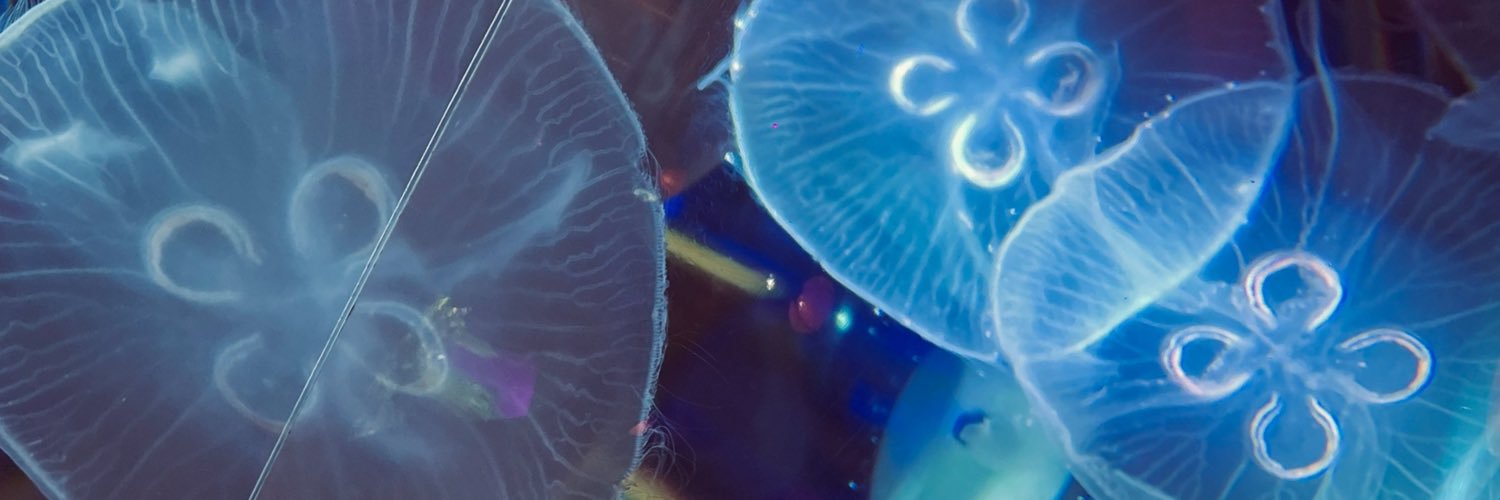 otohara's profile banner image