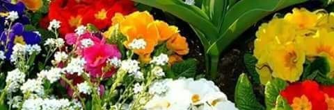 fadhl2015533's profile banner image