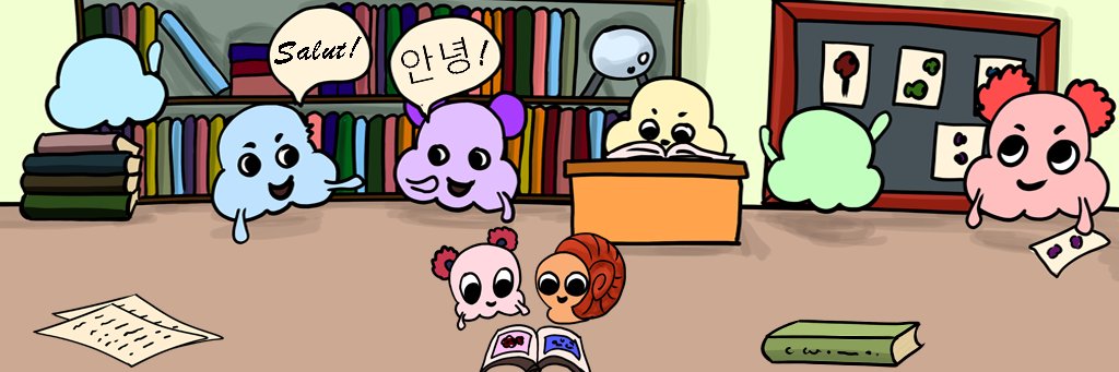 language_meta's profile banner image
