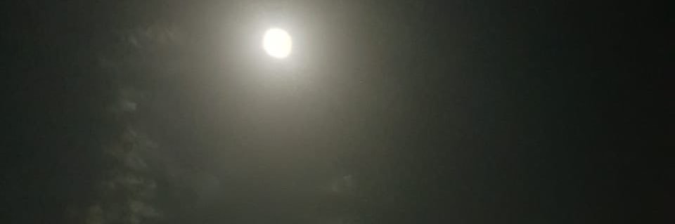 Arjani00's profile banner image