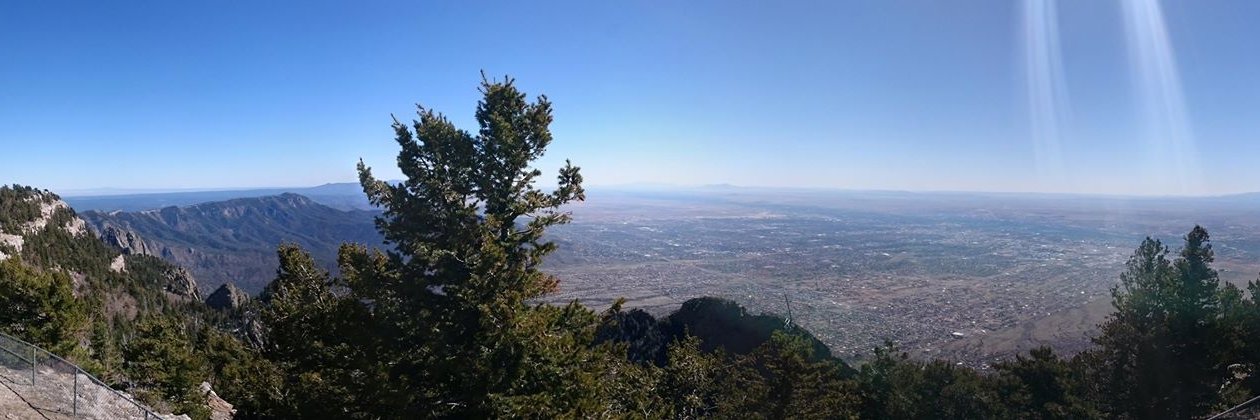 Salman Mustafa banner