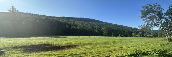 Markymarcopolo2 Profile Banner