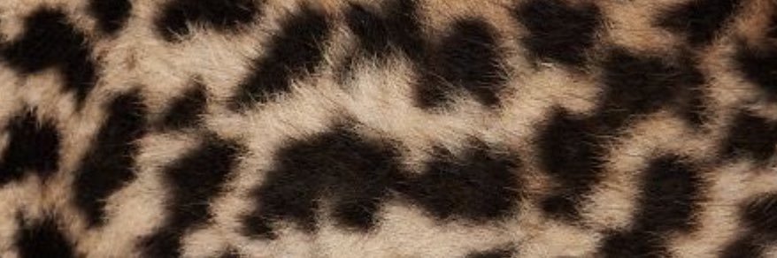 g_liaaa's profile banner image