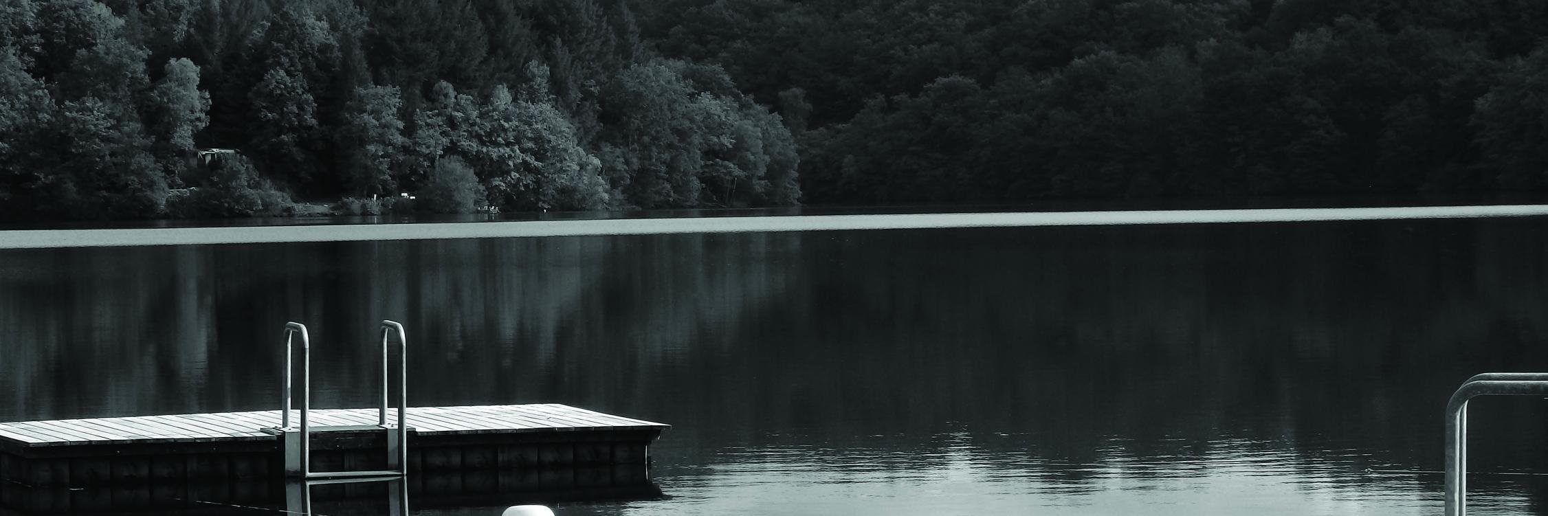 loussuais's profile banner image
